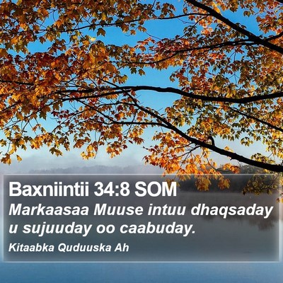 Baxniintii 34:8 SOM Bible Verse Image