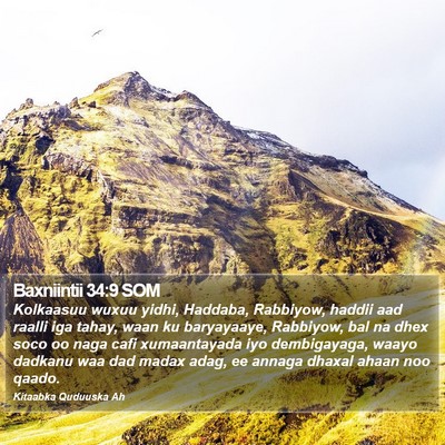 Baxniintii 34:9 SOM Bible Verse Image