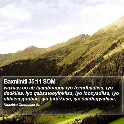 Baxniintii 35:11 SOM Bible Verse Image