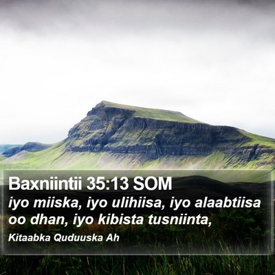 Baxniintii 35:13 SOM Bible Verse Image