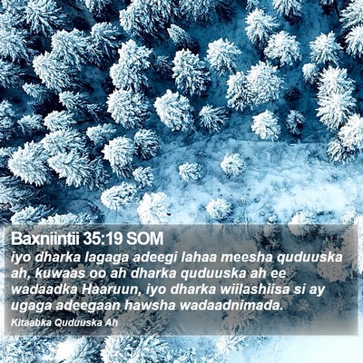 Baxniintii 35:19 SOM Bible Verse Image