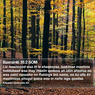 Baxniintii 35:2 SOM Bible Verse Image