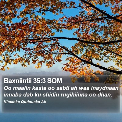 Baxniintii 35:3 SOM Bible Verse Image