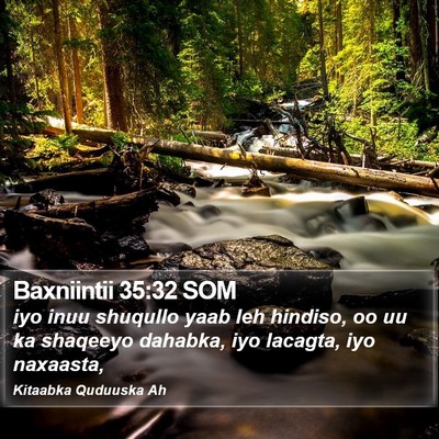 Baxniintii 35:32 SOM Bible Verse Image