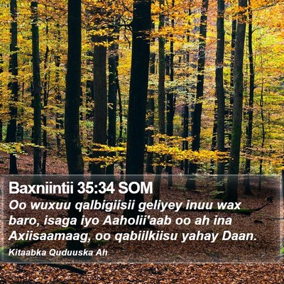 Baxniintii 35:34 SOM Bible Verse Image