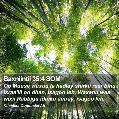 Baxniintii 35:4 SOM Bible Verse Image