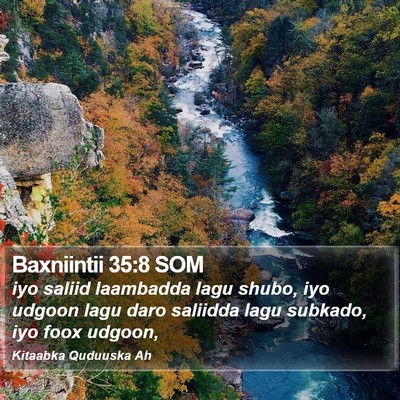 Baxniintii 35:8 SOM Bible Verse Image