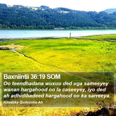 Baxniintii 36:19 SOM Bible Verse Image
