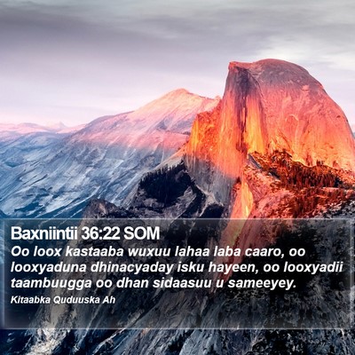 Baxniintii 36:22 SOM Bible Verse Image