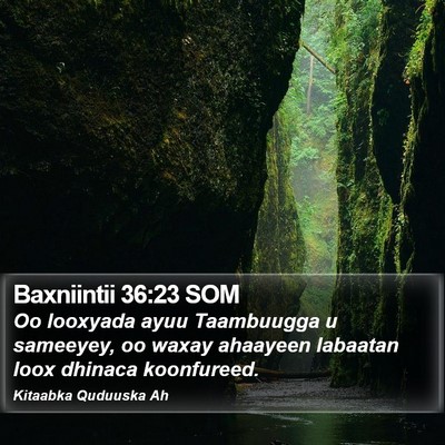 Baxniintii 36:23 SOM Bible Verse Image