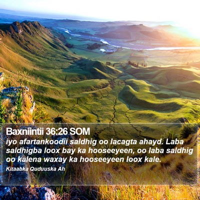 Baxniintii 36:26 SOM Bible Verse Image