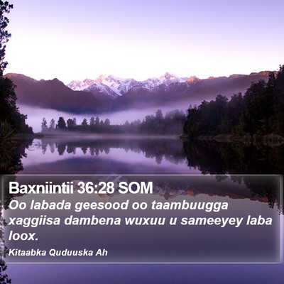 Baxniintii 36:28 SOM Bible Verse Image