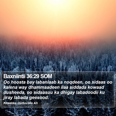 Baxniintii 36:29 SOM Bible Verse Image