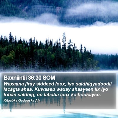 Baxniintii 36:30 SOM Bible Verse Image