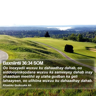 Baxniintii 36:34 SOM Bible Verse Image