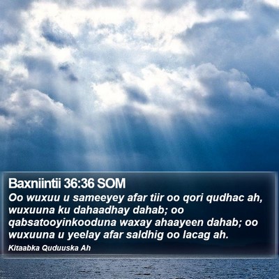Baxniintii 36:36 SOM Bible Verse Image
