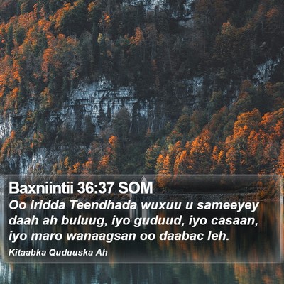 Baxniintii 36:37 SOM Bible Verse Image