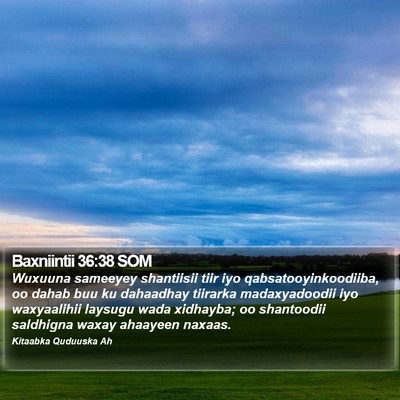 Baxniintii 36:38 SOM Bible Verse Image