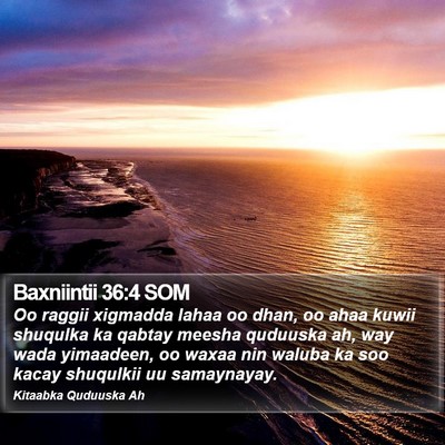 Baxniintii 36:4 SOM Bible Verse Image