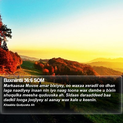 Baxniintii 36:6 SOM Bible Verse Image