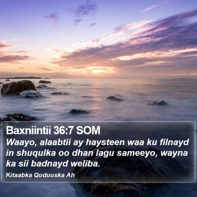 Baxniintii 36:7 SOM Bible Verse Image