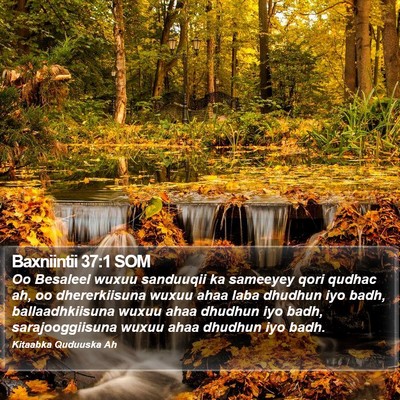Baxniintii 37:1 SOM Bible Verse Image