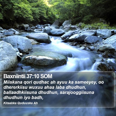 Baxniintii 37:10 SOM Bible Verse Image