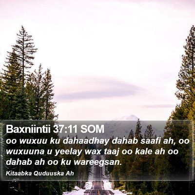 Baxniintii 37:11 SOM Bible Verse Image