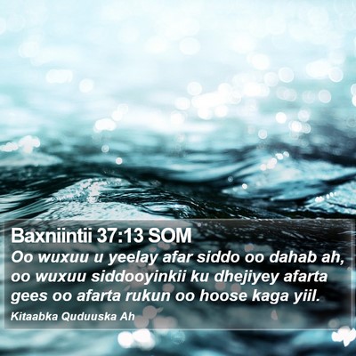 Baxniintii 37:13 SOM Bible Verse Image