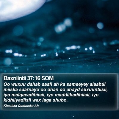 Baxniintii 37:16 SOM Bible Verse Image