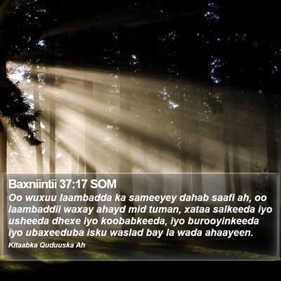 Baxniintii 37:17 SOM Bible Verse Image
