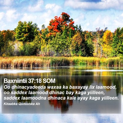 Baxniintii 37:18 SOM Bible Verse Image