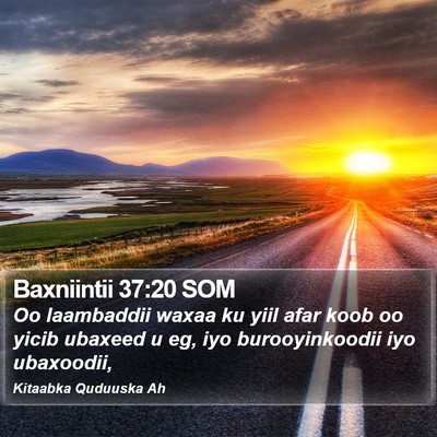 Baxniintii 37:20 SOM Bible Verse Image