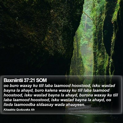 Baxniintii 37:21 SOM Bible Verse Image