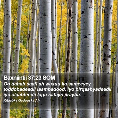 Baxniintii 37:23 SOM Bible Verse Image