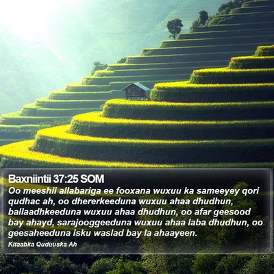Baxniintii 37:25 SOM Bible Verse Image