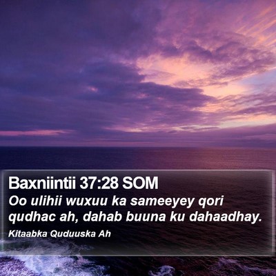 Baxniintii 37:28 SOM Bible Verse Image