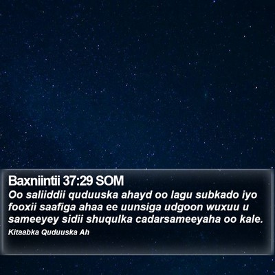 Baxniintii 37:29 SOM Bible Verse Image