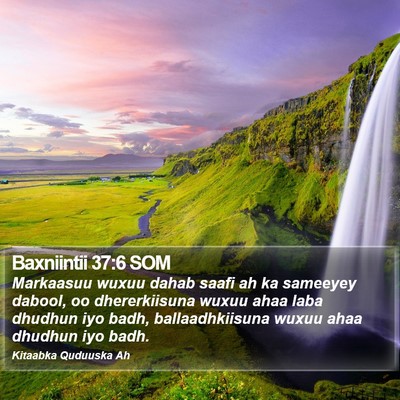 Baxniintii 37:6 SOM Bible Verse Image