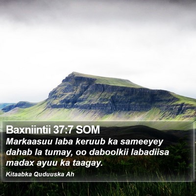 Baxniintii 37:7 SOM Bible Verse Image