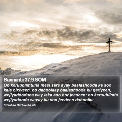 Baxniintii 37:9 SOM Bible Verse Image