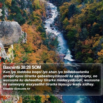 Baxniintii 38:28 SOM Bible Verse Image