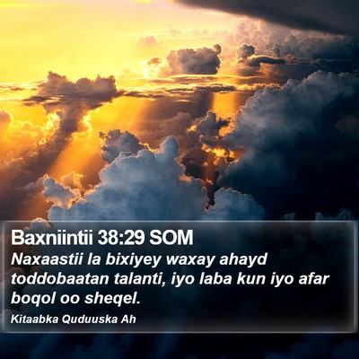 Baxniintii 38:29 SOM Bible Verse Image
