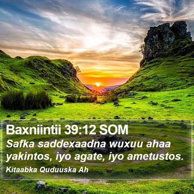 Baxniintii 39:12 SOM Bible Verse Image