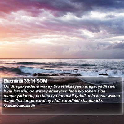 Baxniintii 39:14 SOM Bible Verse Image