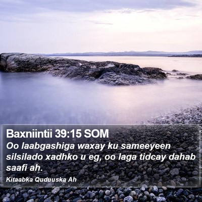 Baxniintii 39:15 SOM Bible Verse Image