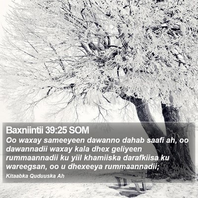 Baxniintii 39:25 SOM Bible Verse Image