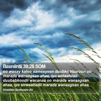 Baxniintii 39:28 SOM Bible Verse Image