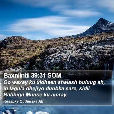 Baxniintii 39:31 SOM Bible Verse Image