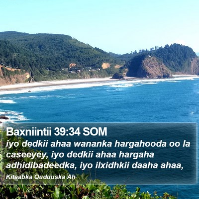 Baxniintii 39:34 SOM Bible Verse Image